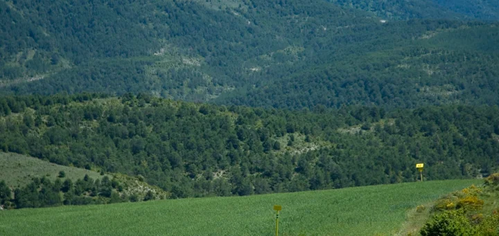 Una foto del paisaje del País Vasco