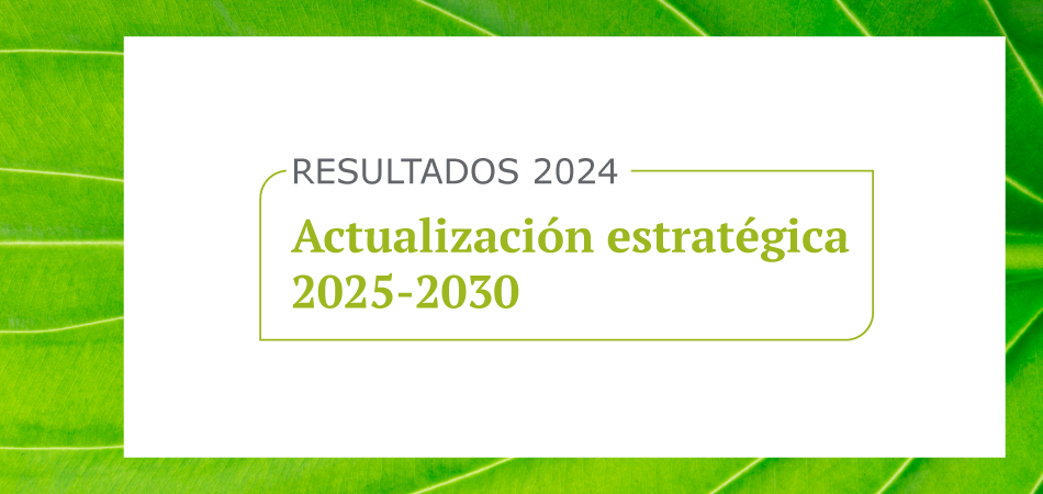 Presentación resultados 2024 y actualización estratégica