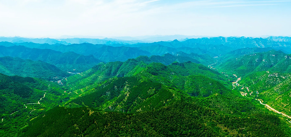 Imagen de unas montañas verdes